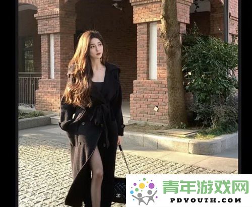 麻花传剧MV免费畅享：一起领略无与伦比的艺术魅力，感受精彩剧集的独特魅力！