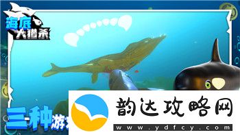 盐和避难所中大剑流派的战斗风格及其战斗优势深入分析