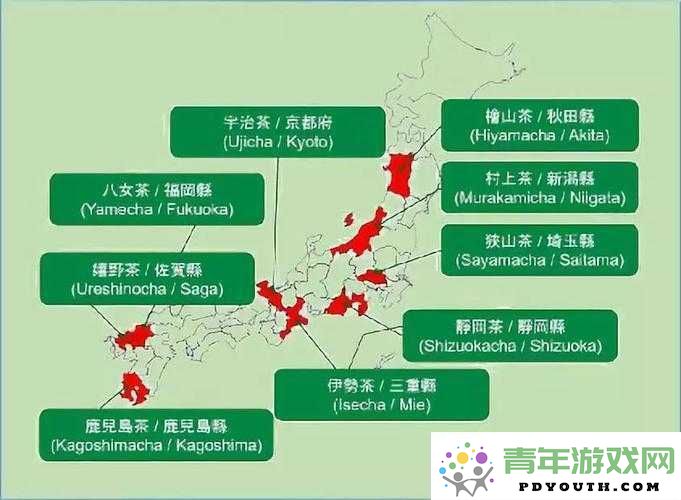 日本主要产区与次要产区的深入比较：探索亚洲一线与二线产区的特点与差异