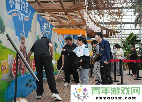《永恒之塔》联合玩家前往“上海猫岛”参与关爱社区流浪猫的公益活动