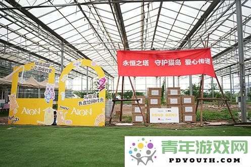 《永恒之塔》联合玩家前往“上海猫岛”参与关爱社区流浪猫的公益活动