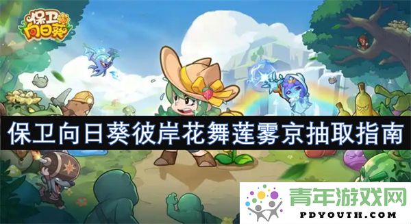 守护向日葵彼岸花舞莲雾京抽取技巧与指南