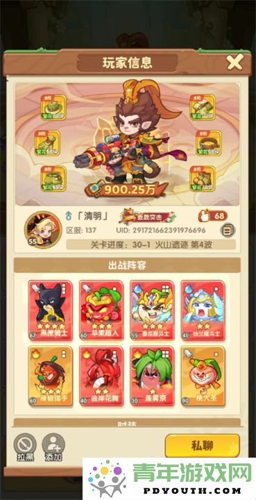 如何合理搭配保卫向日葵双系阵容以提升游戏效果
