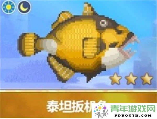 潜水员戴夫推荐的全池塘最佳养鱼种类详细一览
