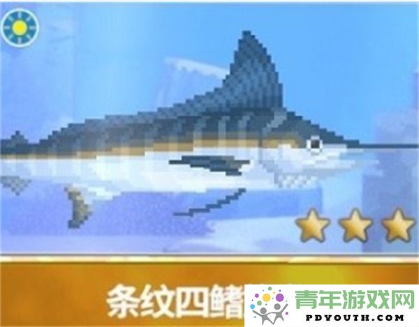 潜水员戴夫推荐的全池塘最佳养鱼种类详细一览