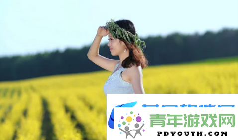 探索国产传媒MV男同的魅力：情感交错下的故事深度与文化反思
