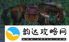 无双大蛇3游戏中如何获取松风马-详细解析松风马的获取途径与方法
